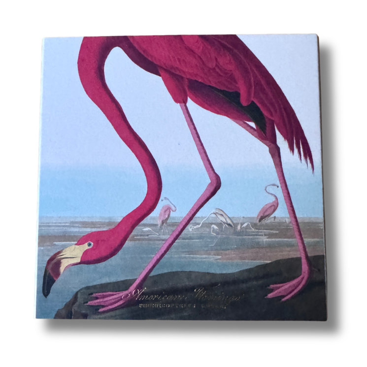 Pink Flamingo | Large Square Matchbox