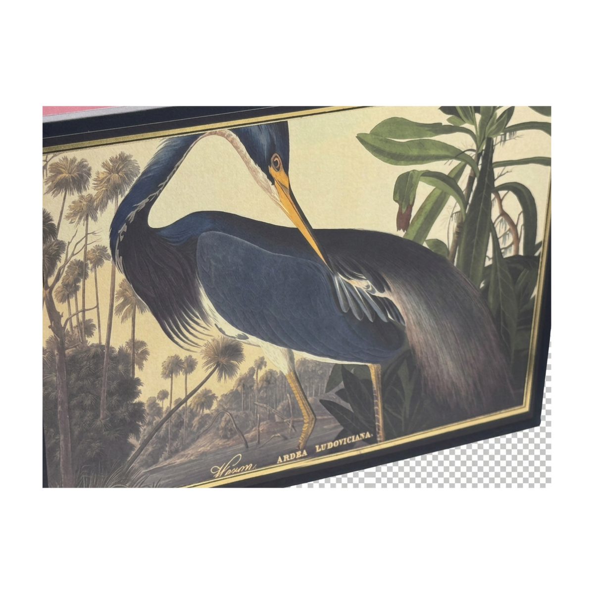 Grand Heron | Giant Matchbox